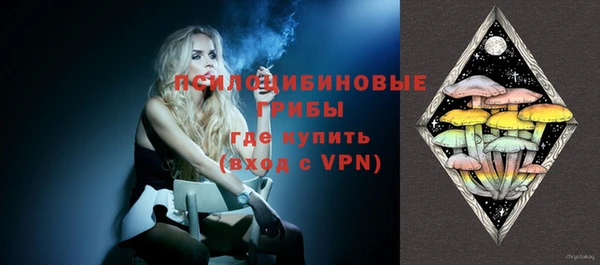 гашик Белокуриха