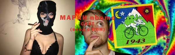 spice Богородицк
