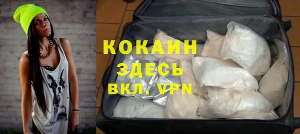 гашик Белокуриха