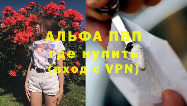гашик Белокуриха