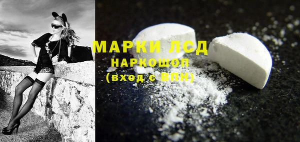 гашик Белокуриха