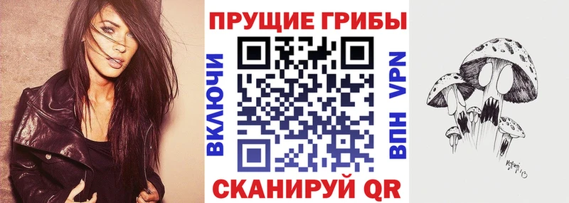 купить наркотик  Березники  Галлюциногенные грибы GOLDEN TEACHER 